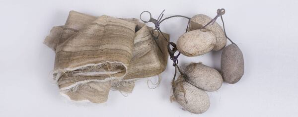 Wild silk wild silk
